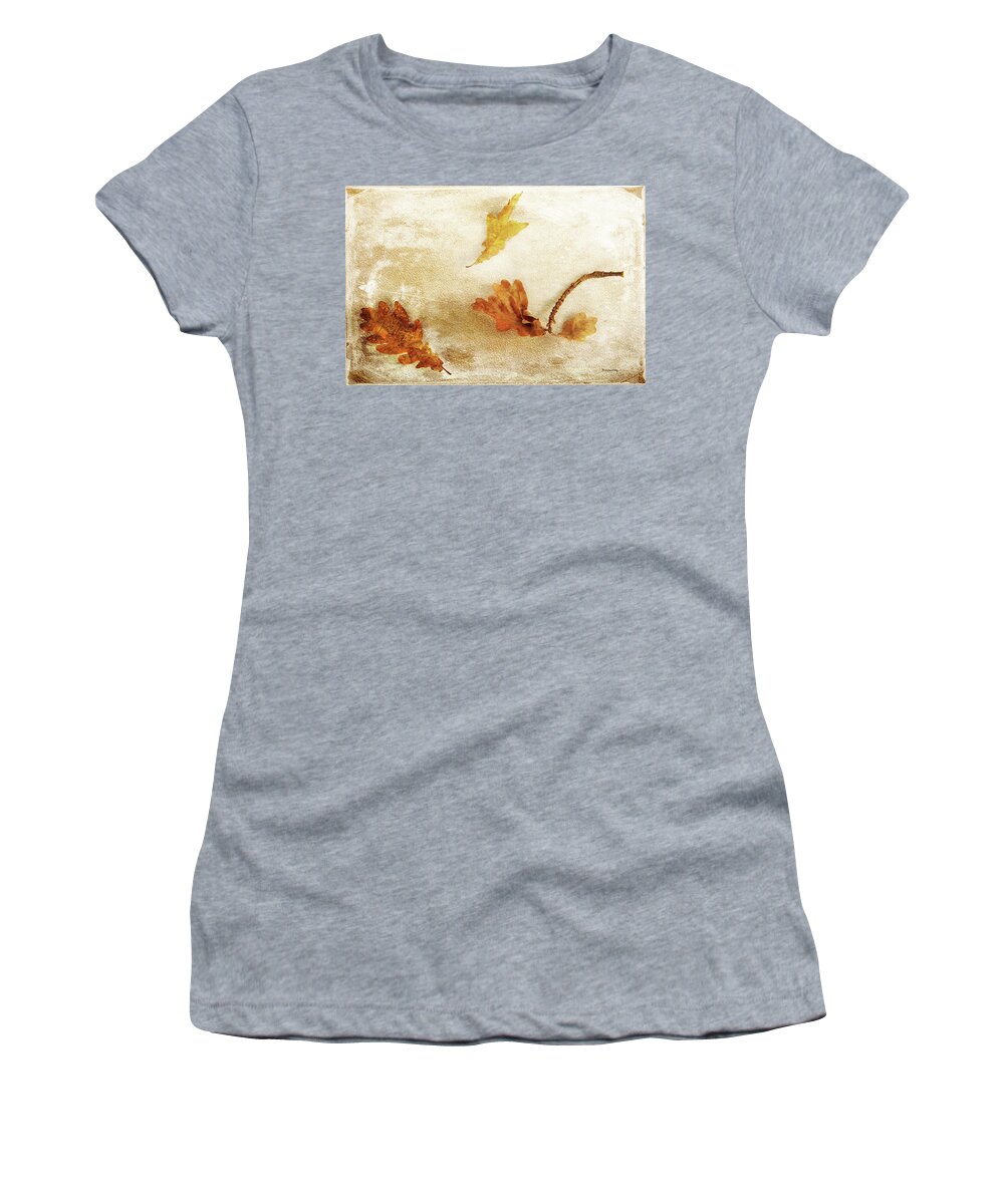 Old Women's T-Shirt featuring the photograph Last Days of Fall by Randi Grace Nilsberg
