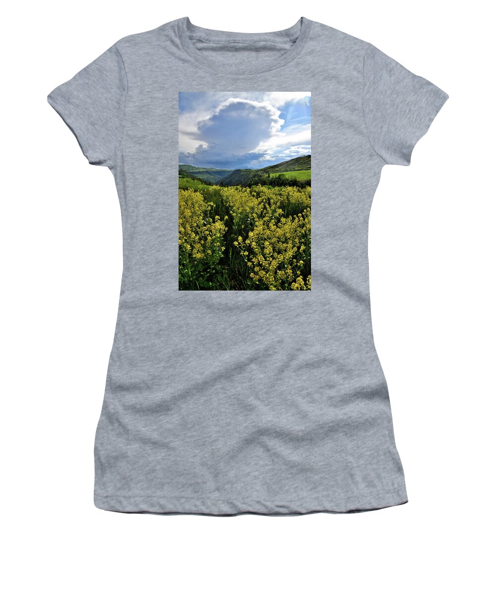 Colorado Women's T-Shirt featuring the photograph Last Dollar Road Scene West of Telluride by Ray Mathis