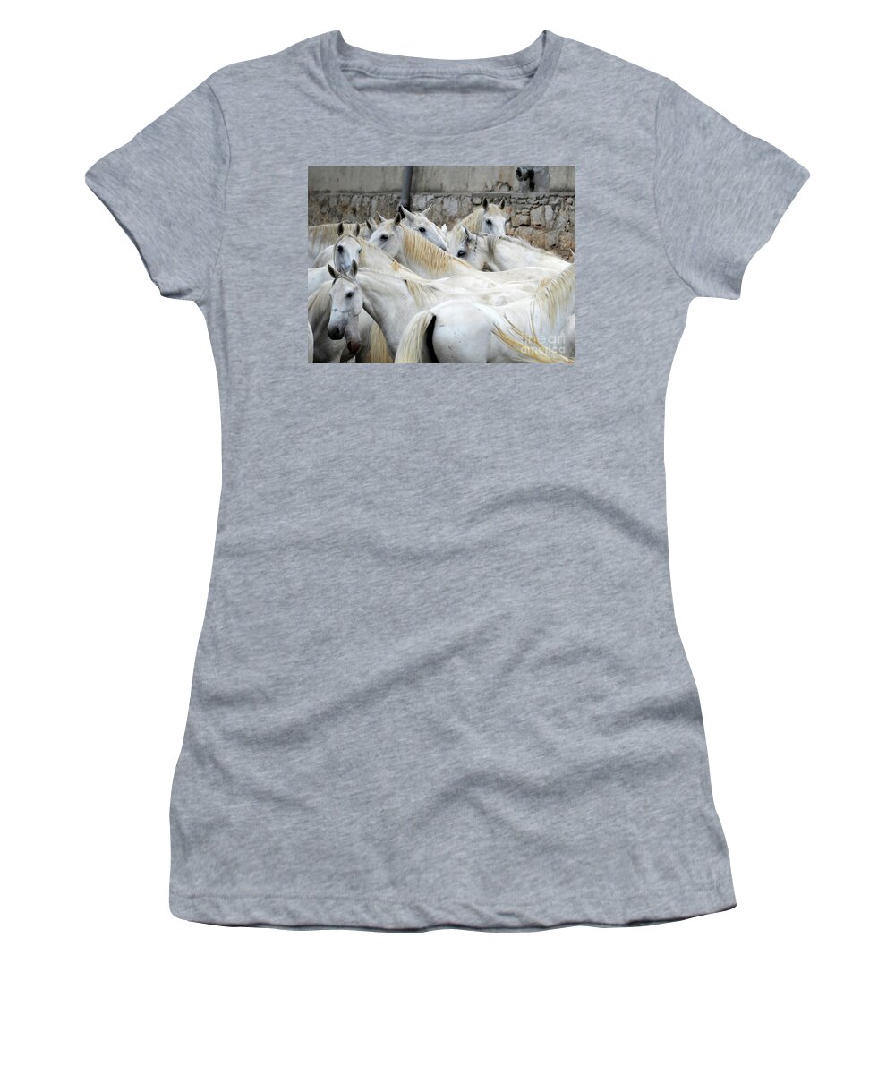 Lipica Stud Women's T-Shirt featuring the photograph Lipizzan mares of Lipica, #483 by Carien Schippers