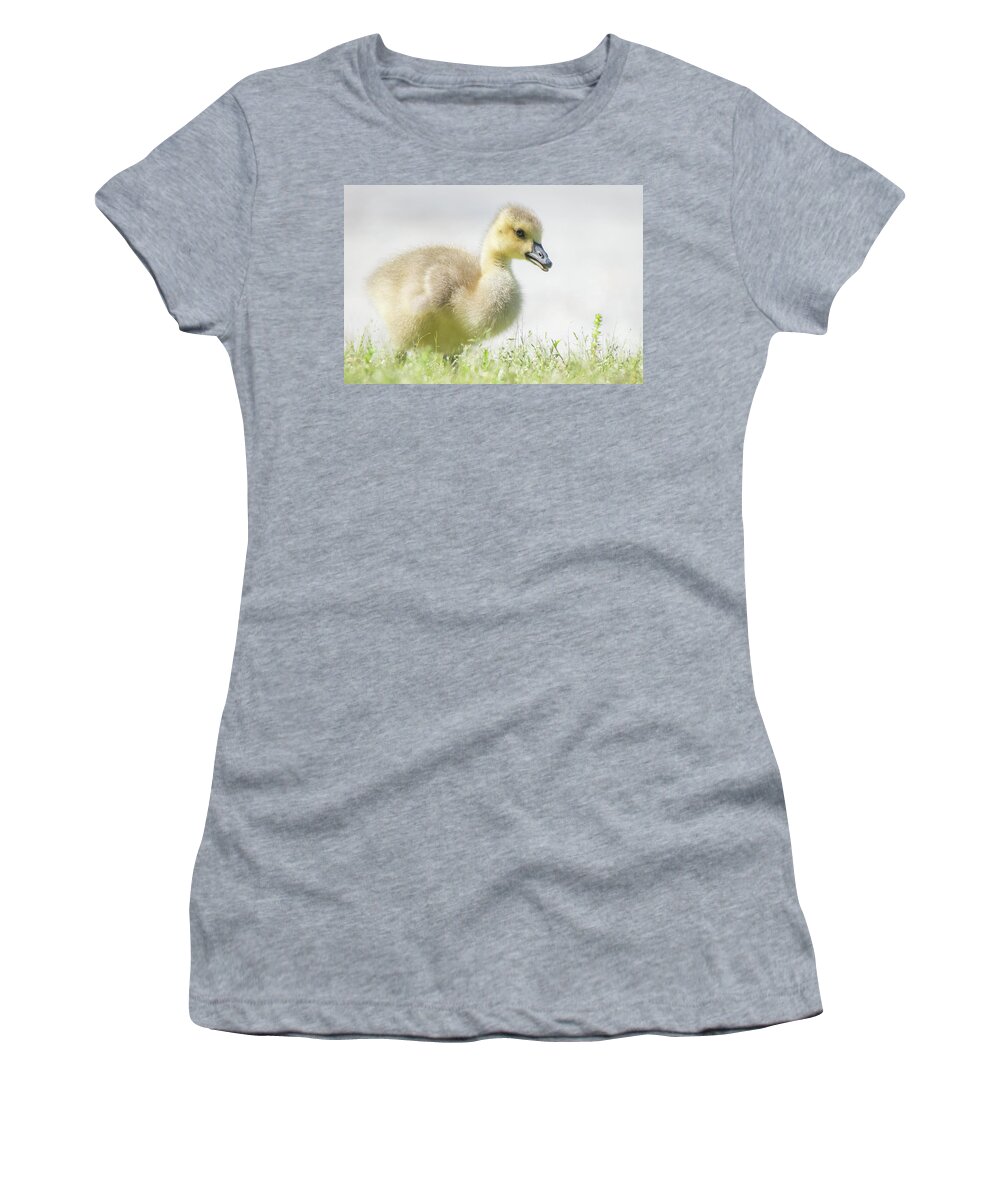 Goslings Women's T-Shirt featuring the photograph Little Gosling by Mary Ann Artz