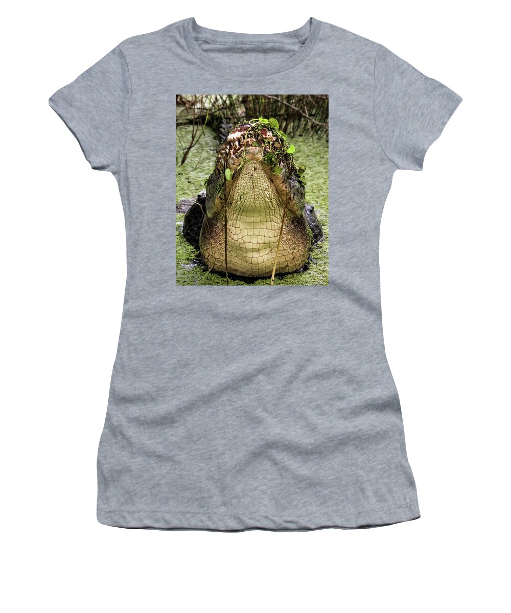 Admiralelk Women's T-Shirt featuring the photograph Lord of the Swamp by Michael Allard