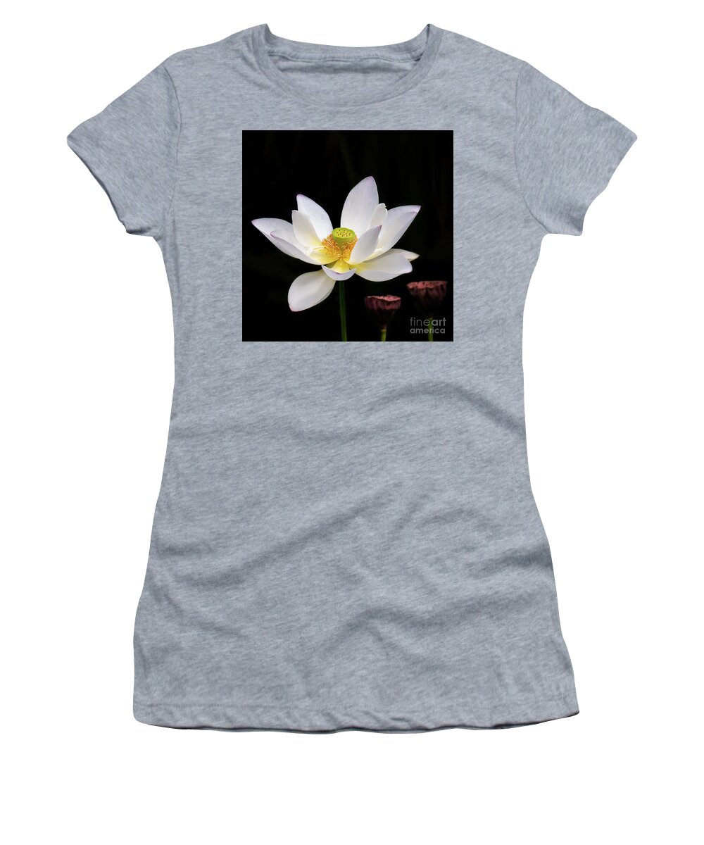 Spring Women's T-Shirt featuring the photograph Lotus Loving the Sunshine by Sabrina L Ryan