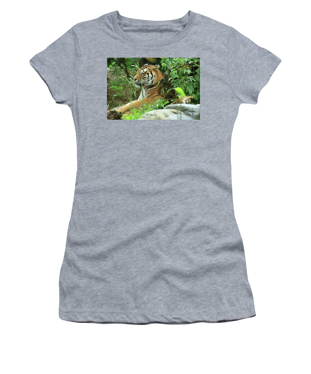 Animali Women's T-Shirt featuring the photograph Maestosa Tigre by Simone Lucchesi