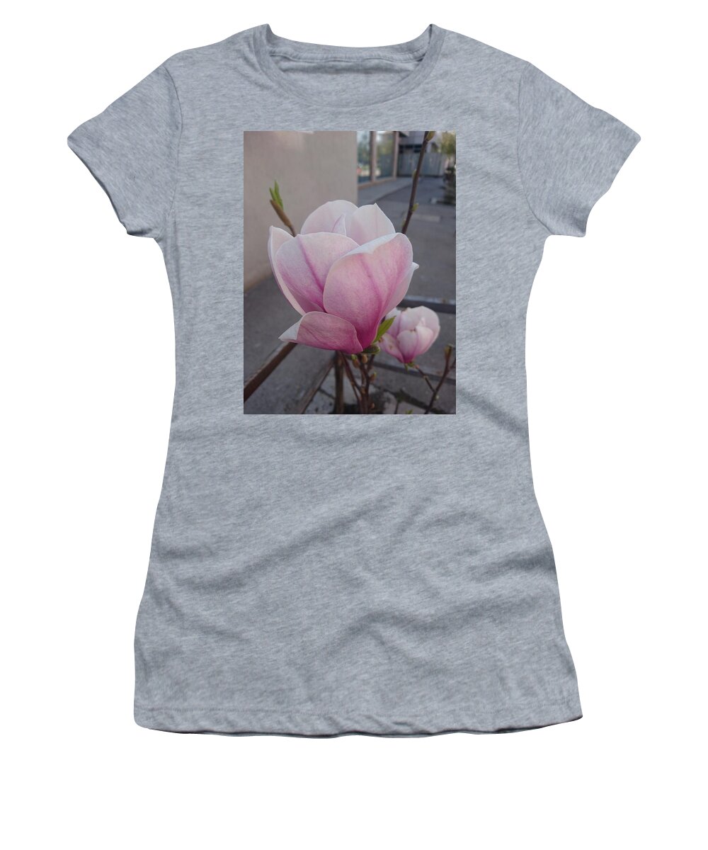  Women's T-Shirt featuring the photograph Magnolia by Anzhelina Georgieva