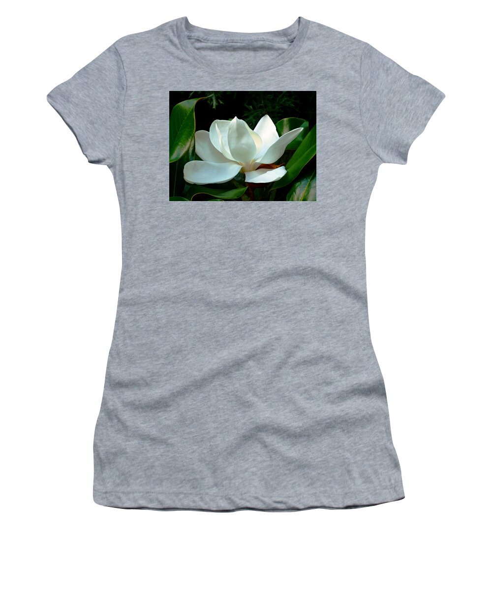 Southern Magnolia Women's T-Shirt featuring the photograph Magnolia Closeup Bright by Mike McBrayer
