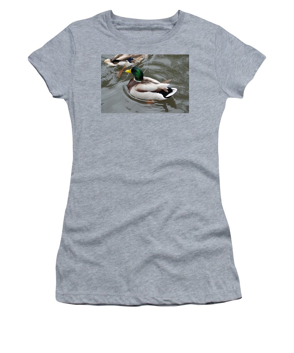Mallard Ducks Women's T-Shirt featuring the photograph Mallard Ducks In A Splash by Ee Photography
