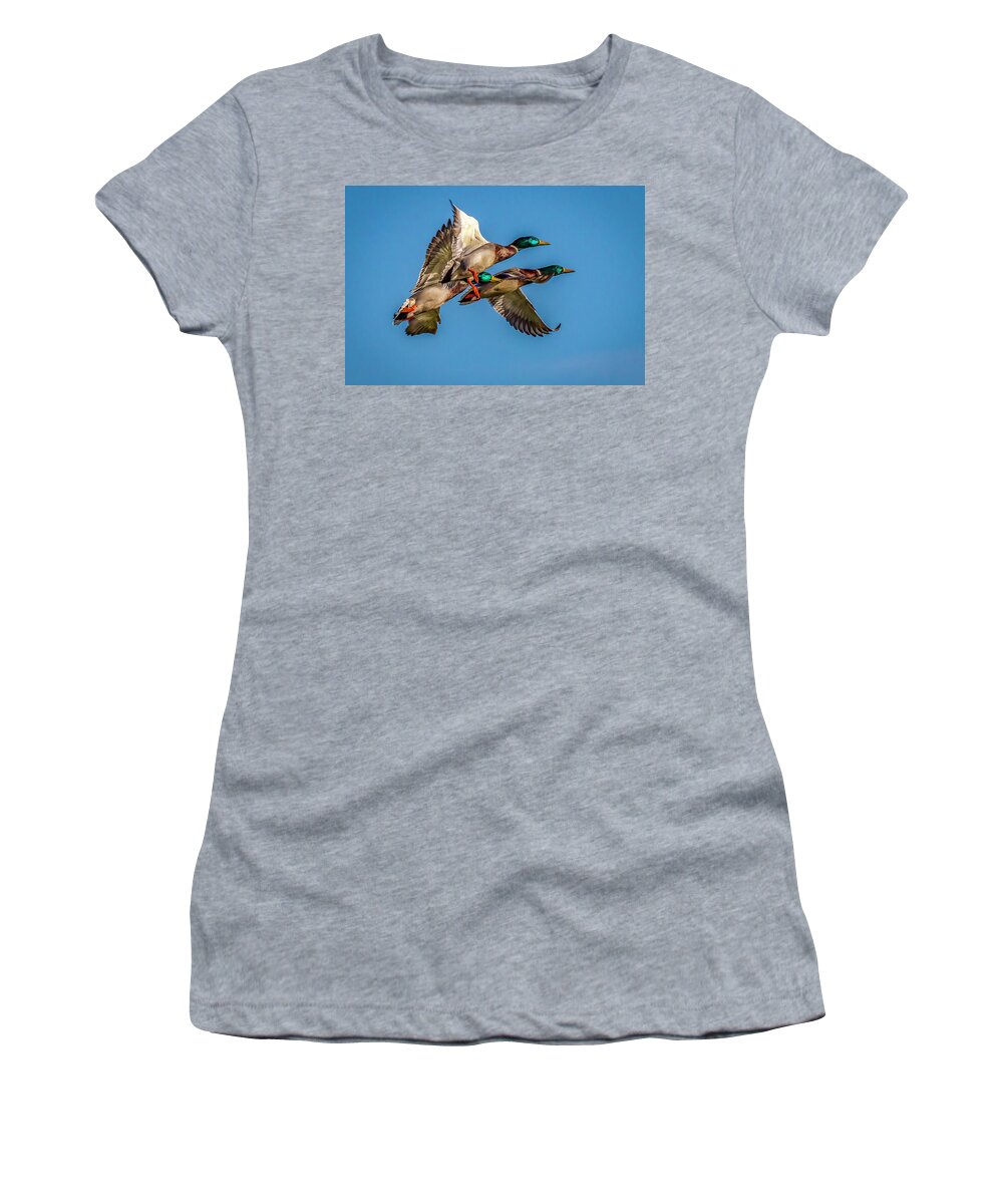 Mallards Women's T-Shirt featuring the photograph Mallards in Flight by David Wagenblatt