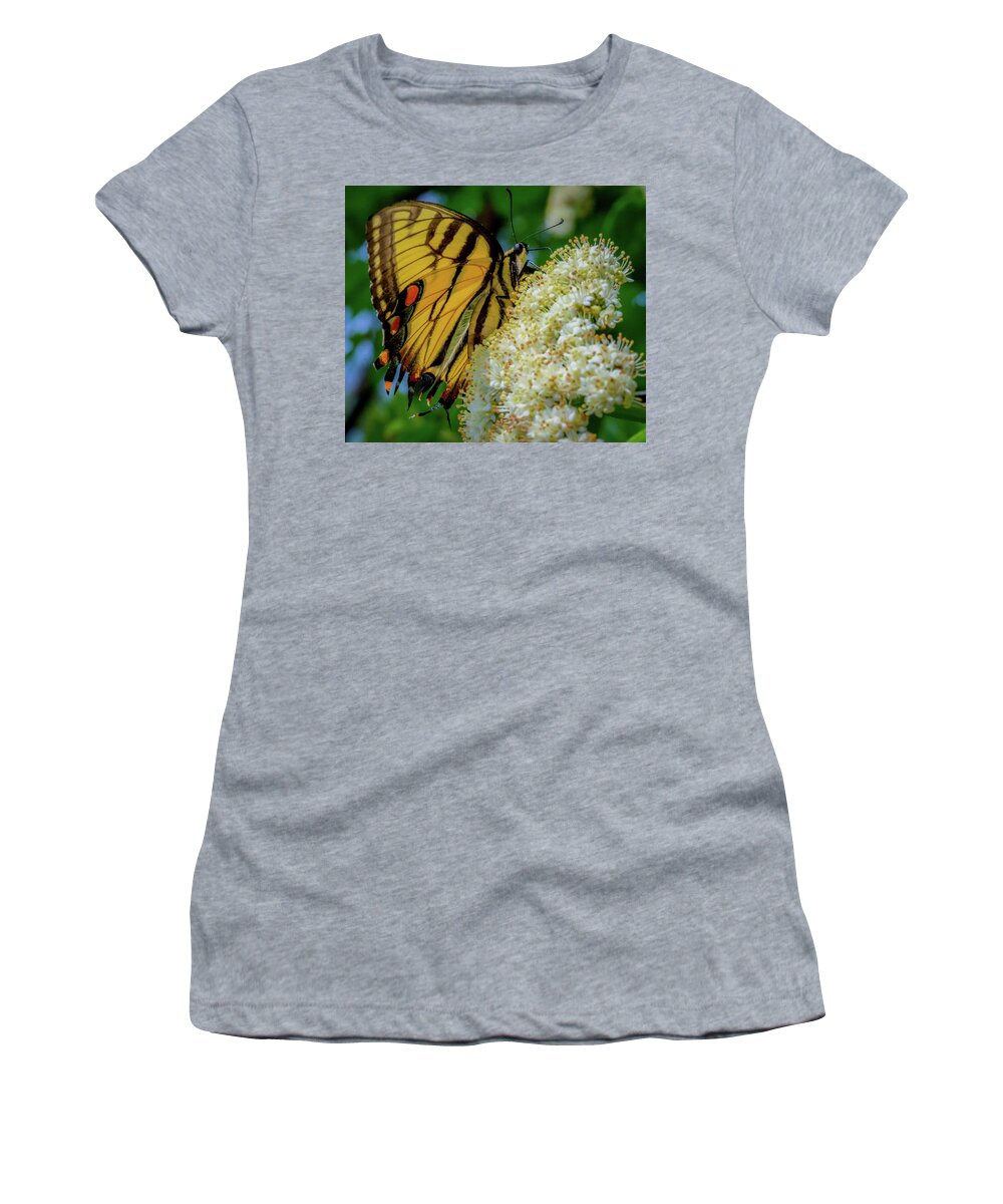 Butterfly Women's T-Shirt featuring the photograph Manassas Butterfly by Lora J Wilson