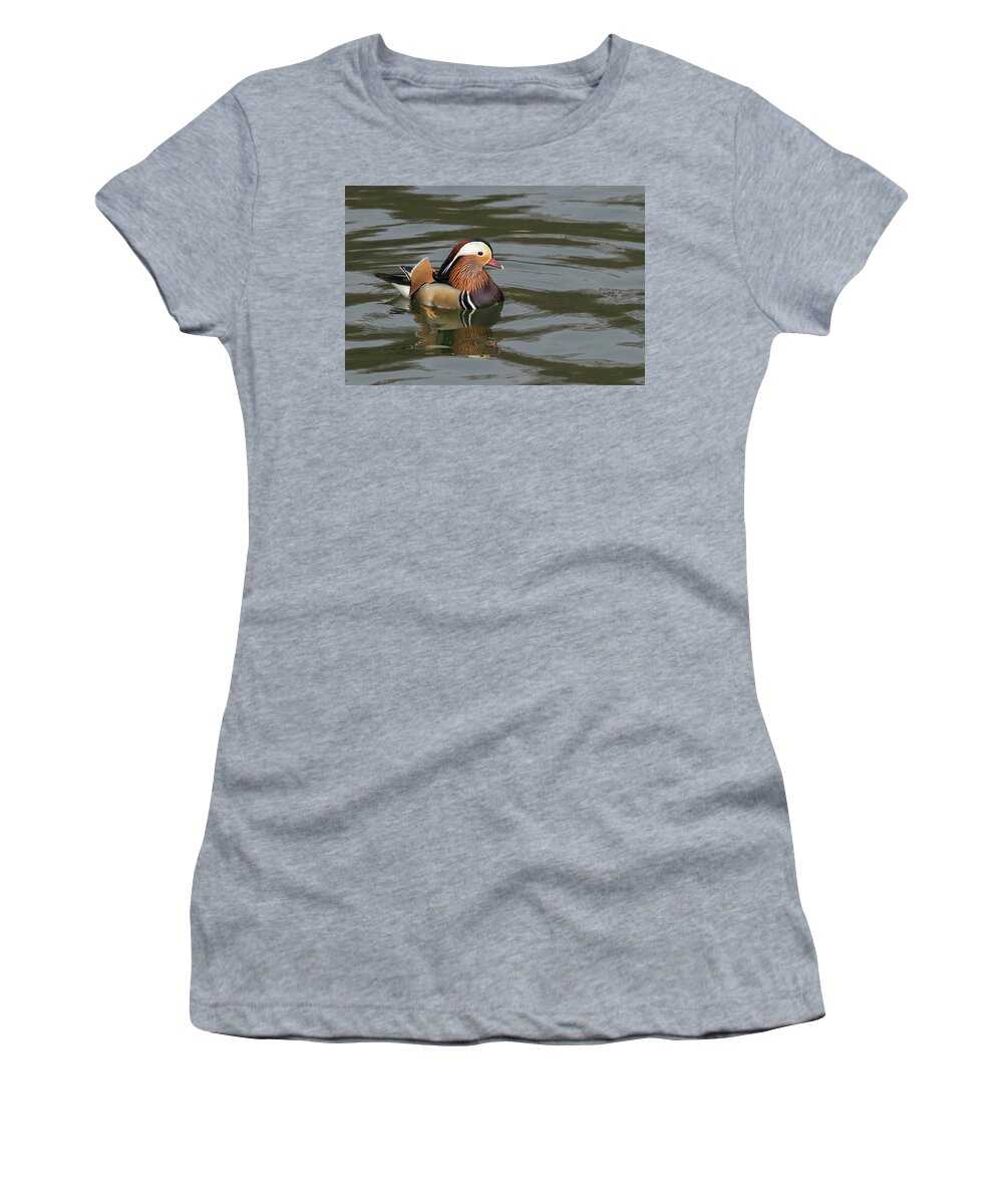 Wildlifephotograpy Women's T-Shirt featuring the photograph Mandarin Duck by Wendy Cooper