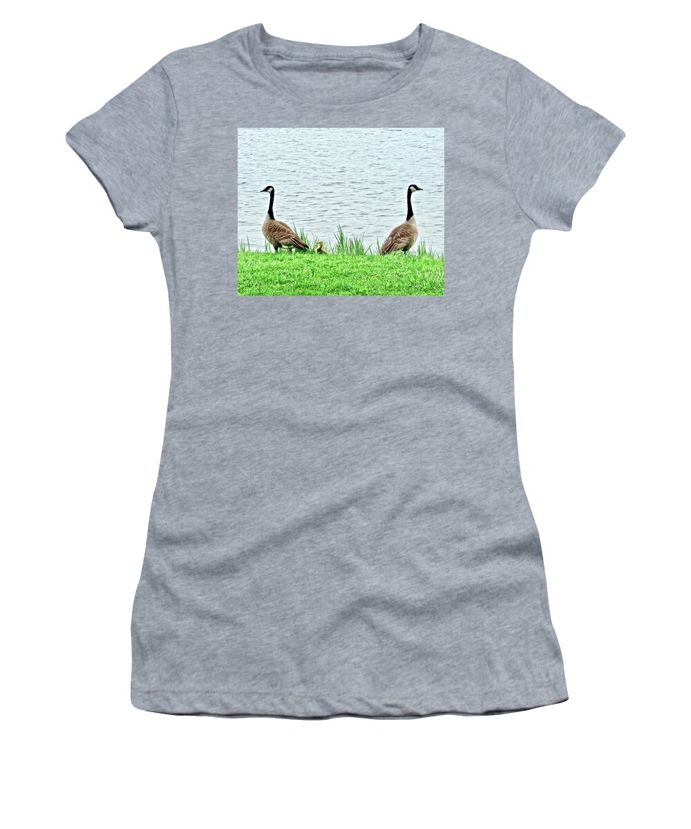 Geese Women's T-Shirt featuring the photograph Mom and Dad Protecting Their Baby by Kathy Ozzard Chism