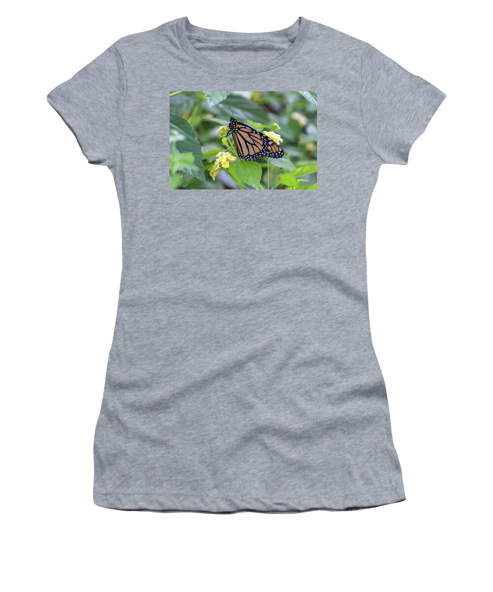 Monarch Women's T-Shirt featuring the photograph Monarch Moment by Patricia Schaefer