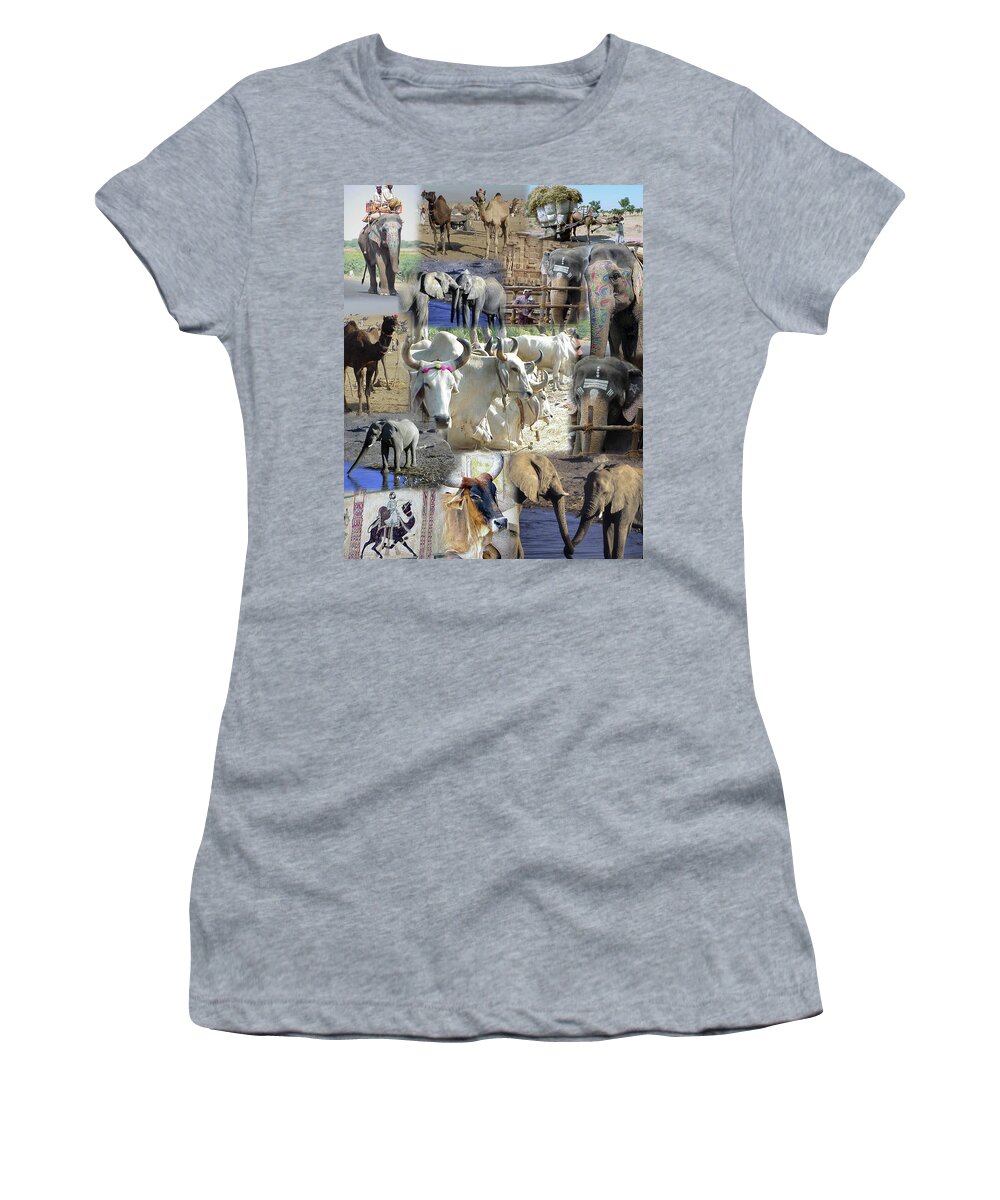 Africa Women's T-Shirt featuring the photograph Montage - Animals of Africa and India by Steve Estvanik