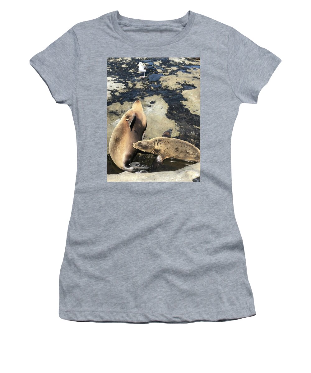 Sea Lions Women's T-Shirt featuring the photograph Mother and Child by Lauren Serene