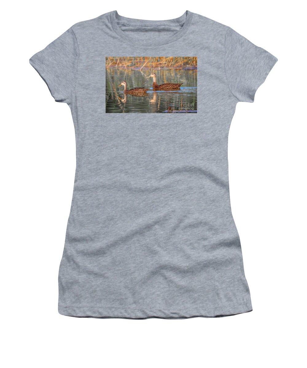Duck Women's T-Shirt featuring the photograph Mottled Duck Reflection by Tom Claud