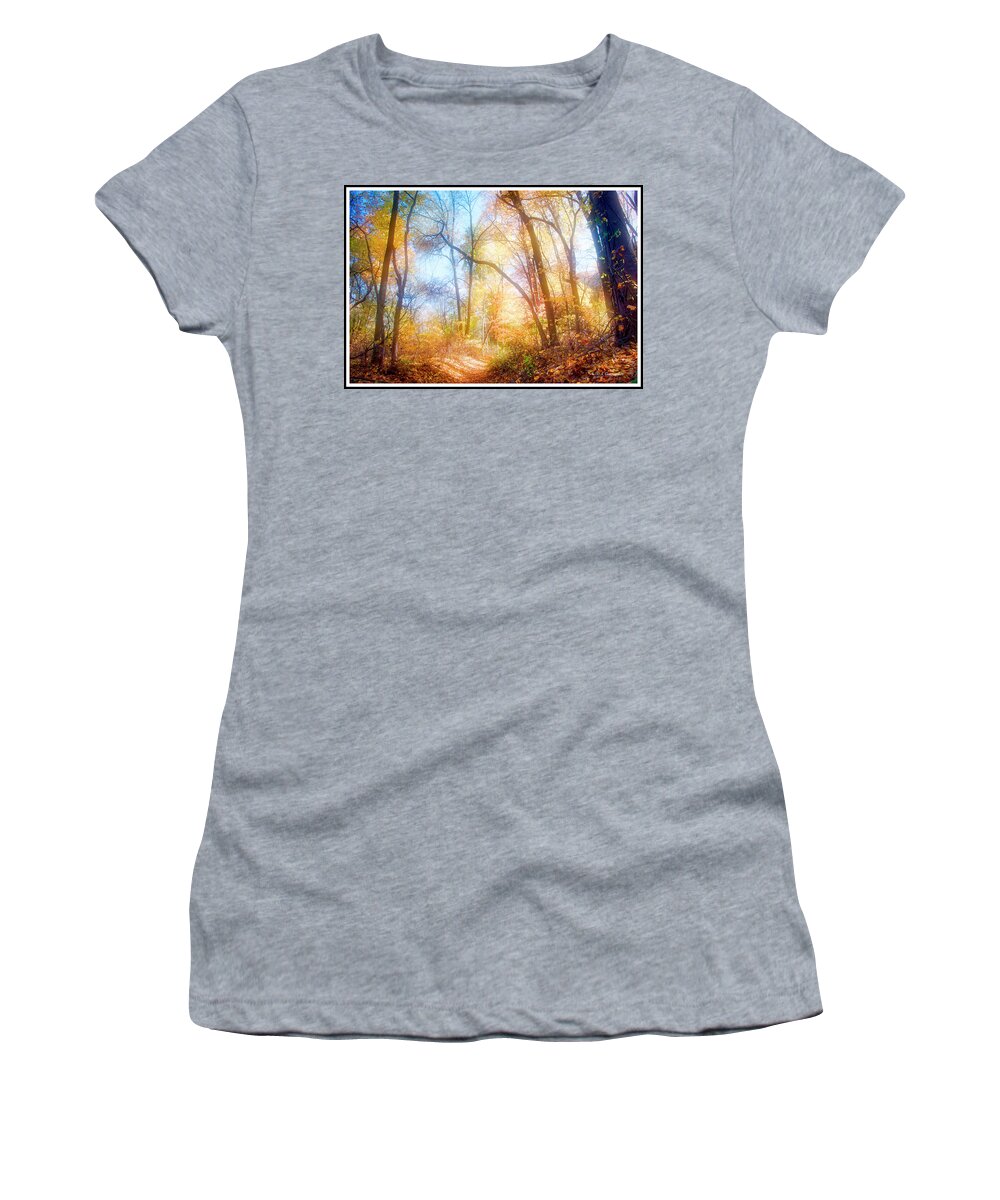 Narrow Path Women's T-Shirt featuring the photograph Narrow Path in a Forest, Autumn by A Macarthur Gurmankin