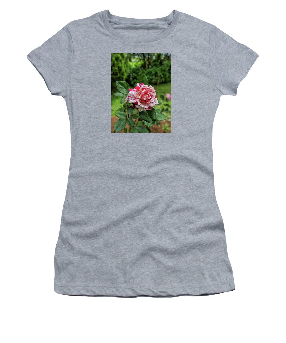Rose Women's T-Shirt featuring the photograph Neil Diamond Rose by Portia Olaughlin