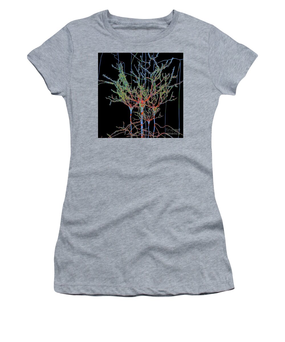 Blue Women's T-Shirt featuring the digital art Neuron Field Vector Blue Green by Russell Kightley