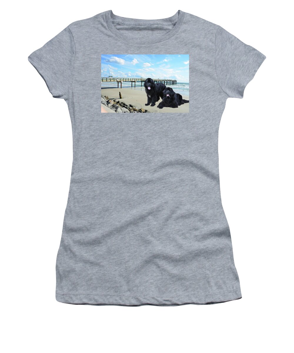Newfies Women's T-Shirt featuring the photograph Newfies On St Augustine Beach by Philip And Robbie Bracco