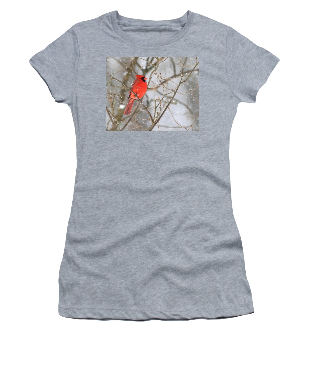 Cardinal Women's T-Shirt featuring the photograph Northern Cardinal in Snow #1 by Mindy Musick King