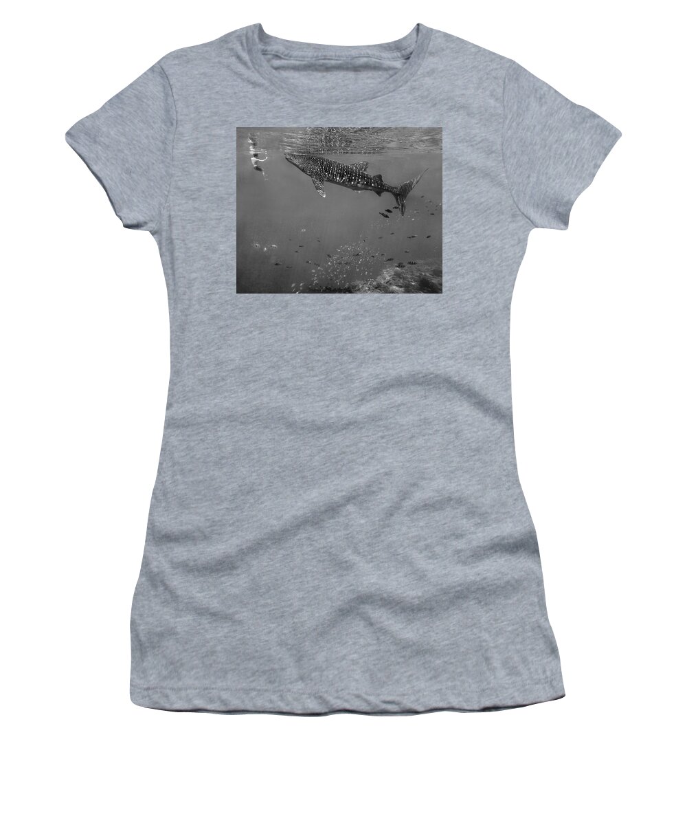 00591281 Women's T-Shirt featuring the photograph Ok That's Close Enough by Tim Fitzharris