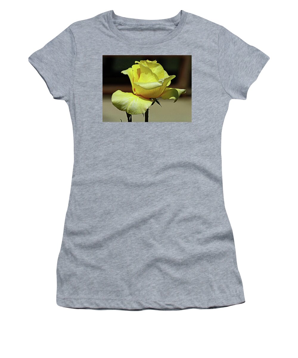 Rose Women's T-Shirt featuring the photograph One More Yellow Rose by Lyuba Filatova