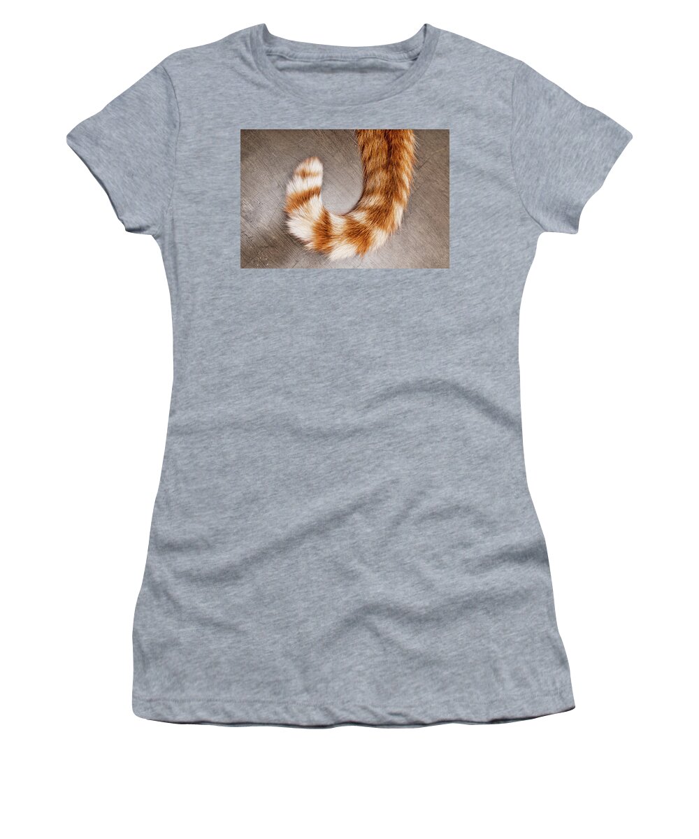 Orange And White Cat Tail Women's T-Shirt featuring the photograph Orange and White Cat Tail by Sharon Popek
