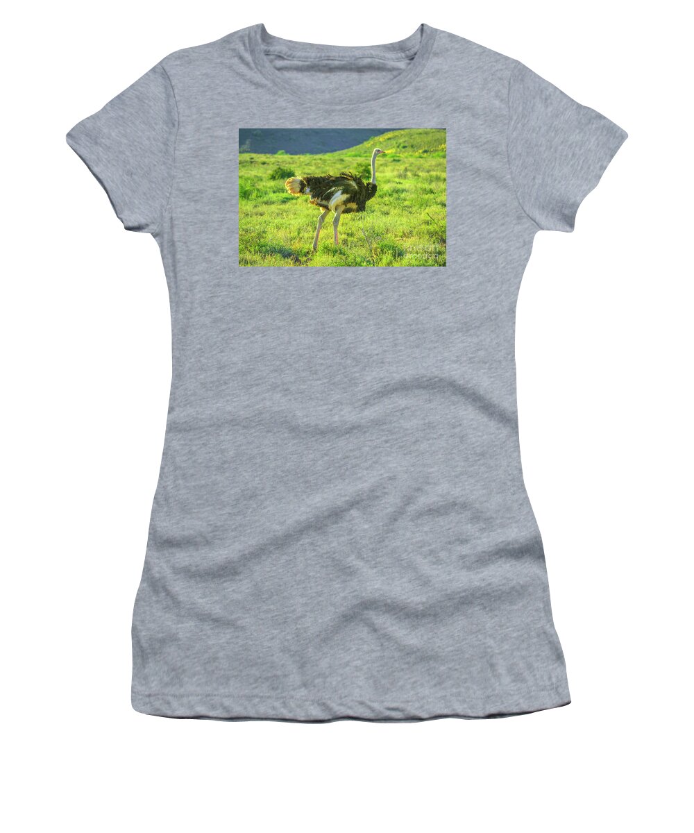 Ostrich Women's T-Shirt featuring the photograph Ostrich on Karoo grass by Benny Marty