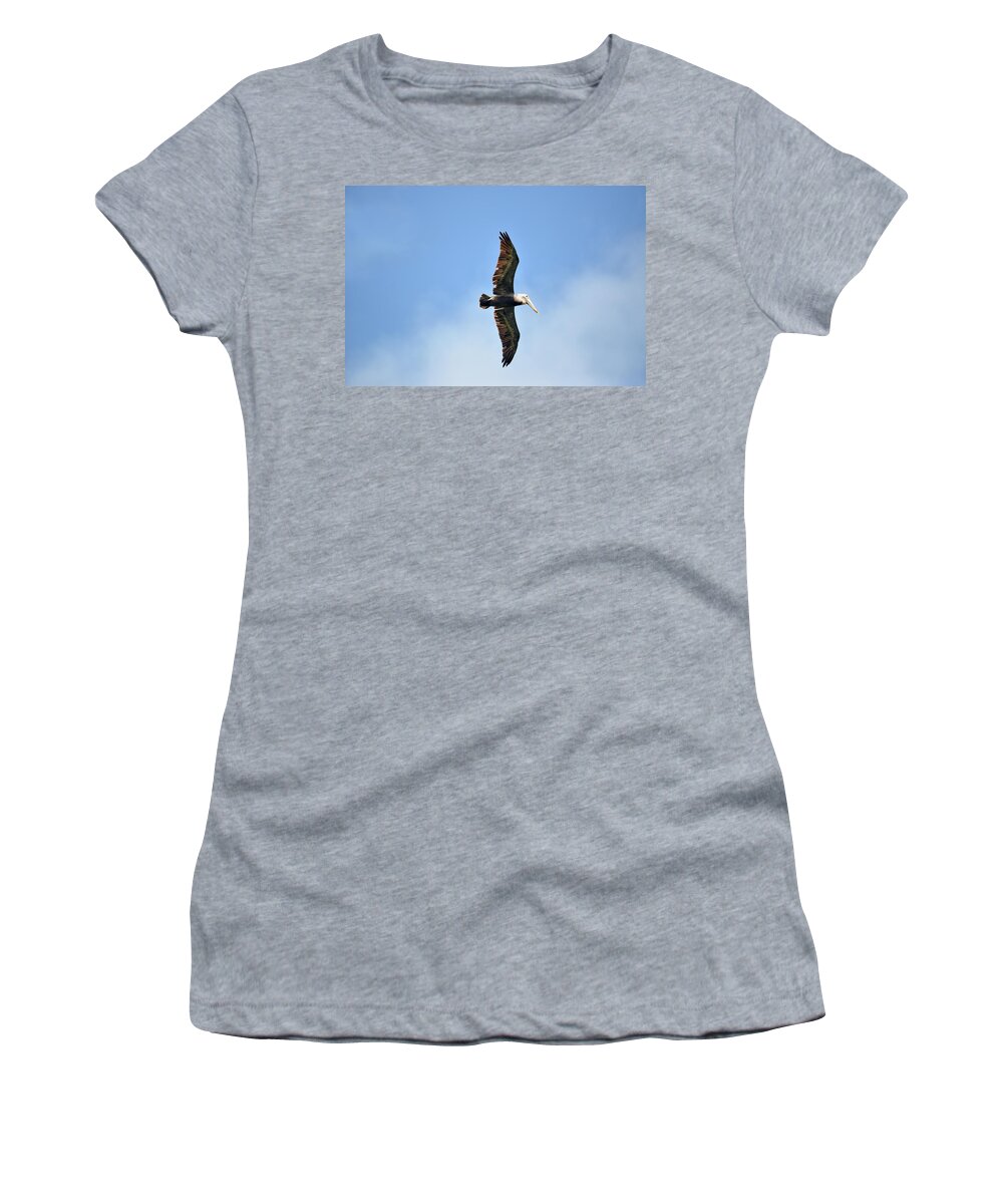 Brown Pelican Women's T-Shirt featuring the photograph Overflight by Climate Change VI - Sales