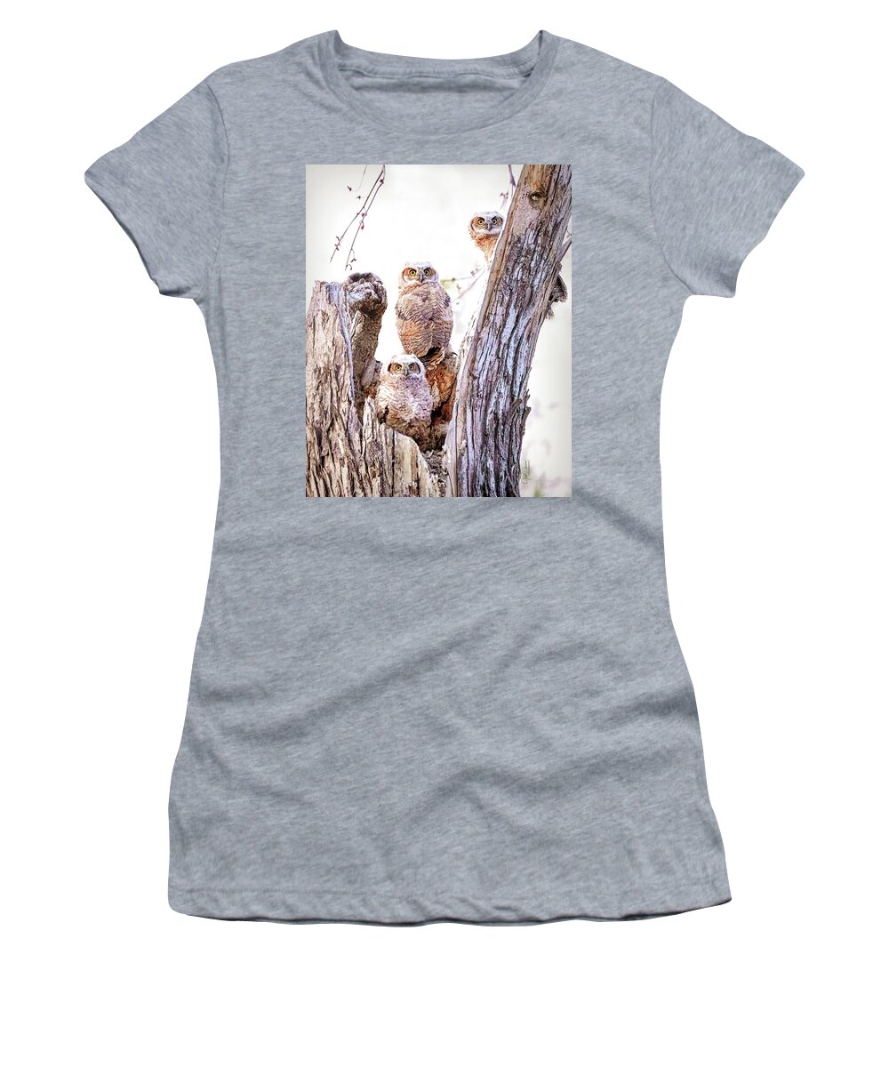 Great Horned Owl Women's T-Shirt featuring the photograph Owl Trio Standing Guard by Judi Dressler