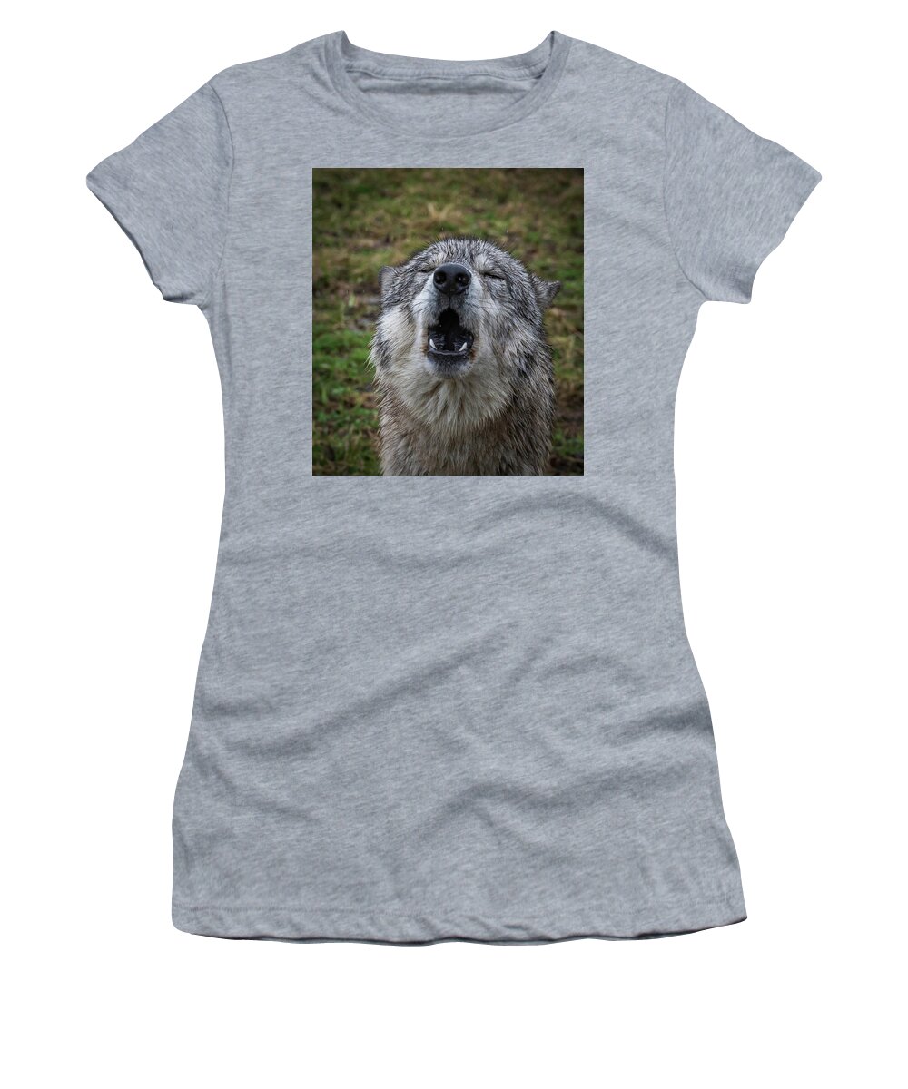 Howling Wolf Wolves Wolf Women's T-Shirt featuring the photograph Owwwwwwwwwww by Laura Hedien