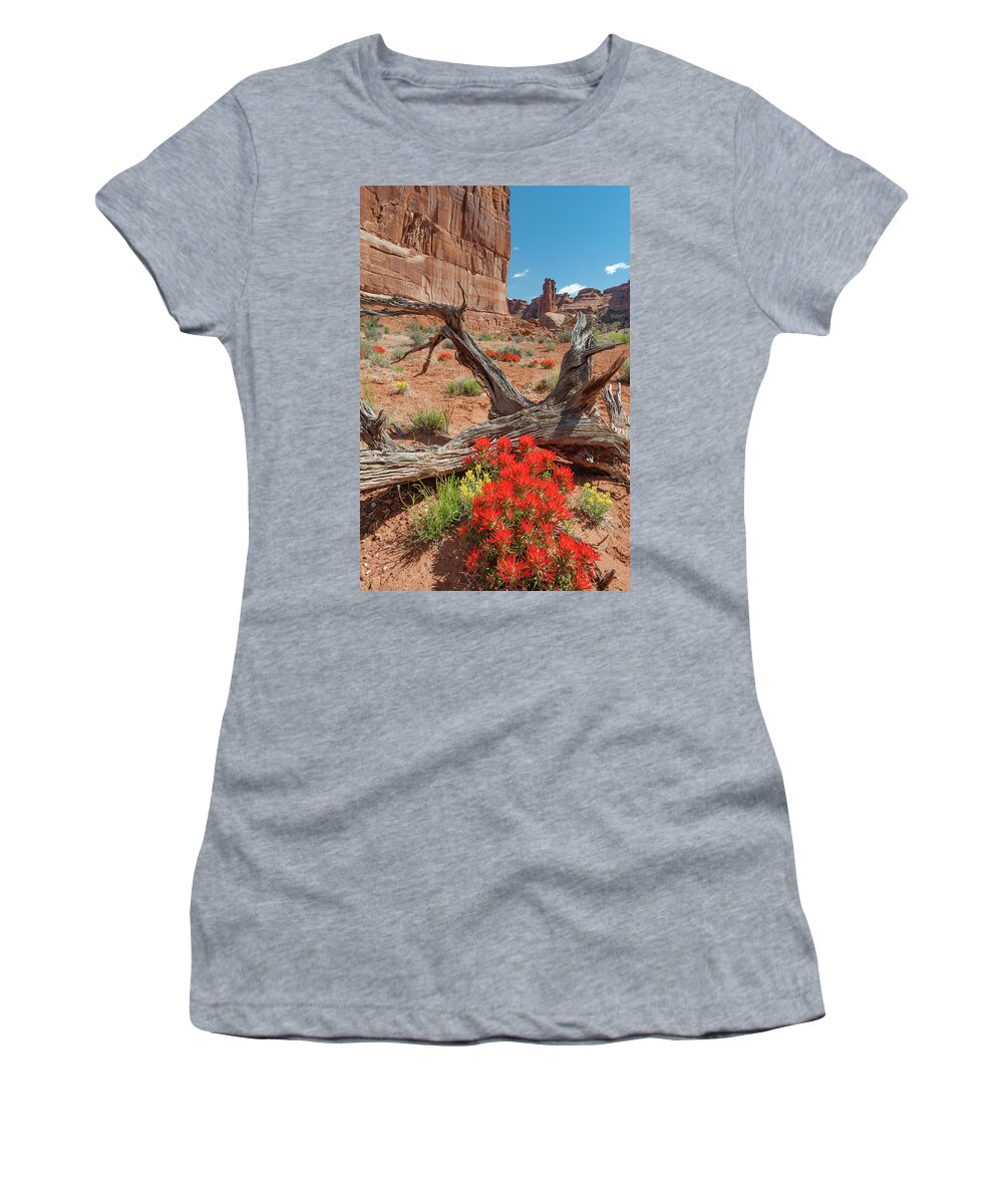 Jeff Foott Women's T-Shirt featuring the photograph Paintbrush In Arches National Park by Jeff Foott
