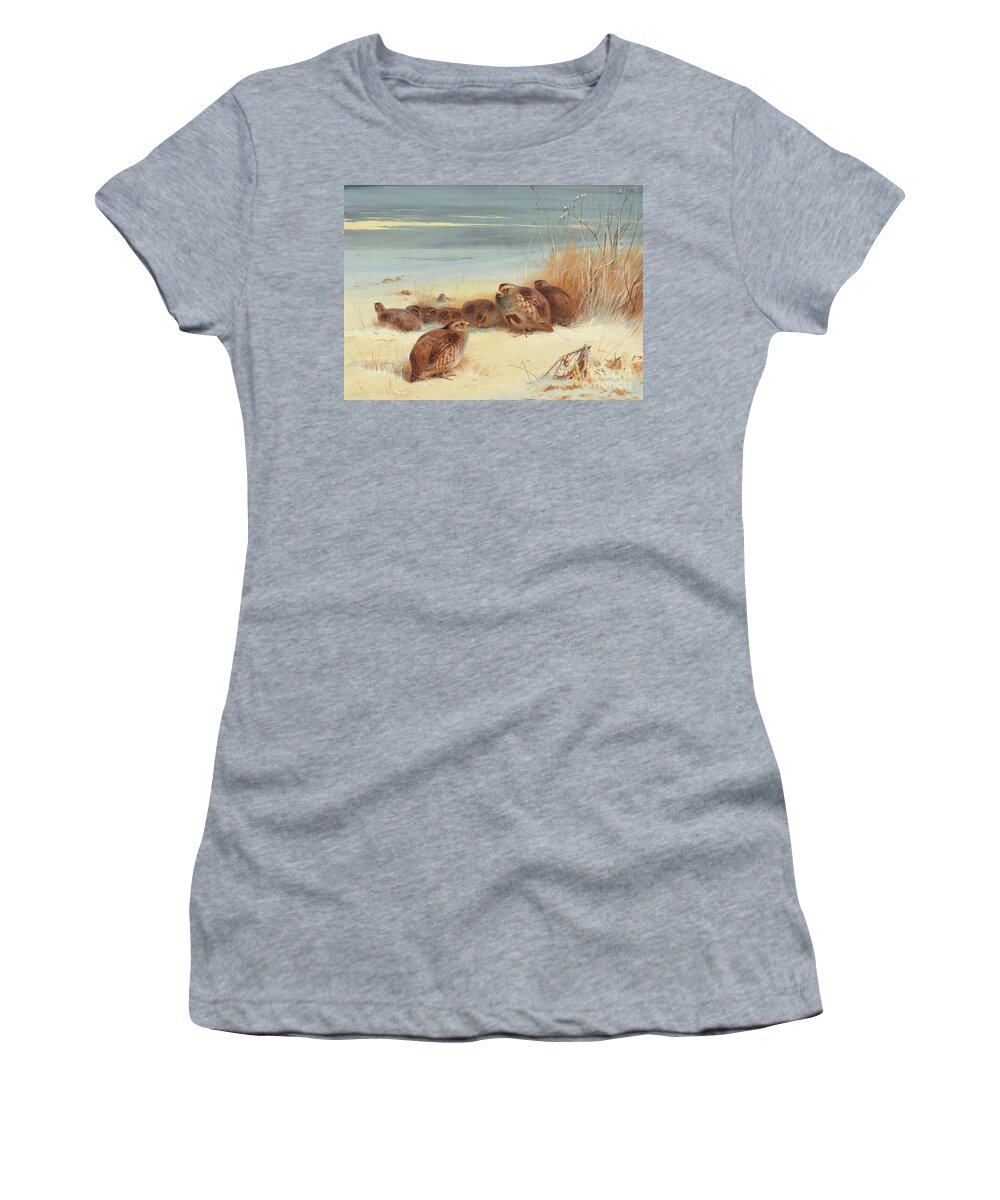 Huddle Women's T-Shirt featuring the painting Partridge on a frosty morning, 1903 by Archibald Thorburn
