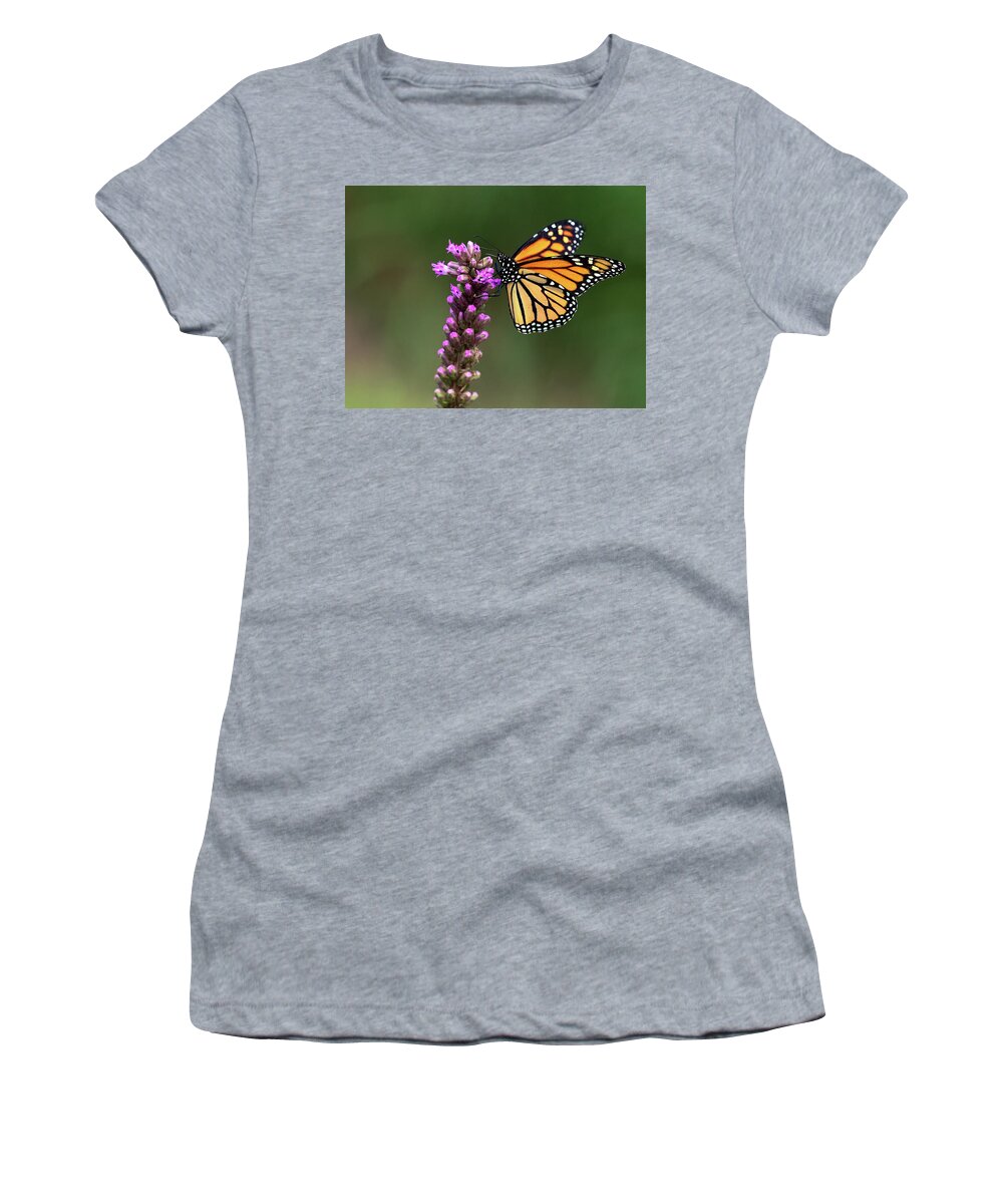 Butterfly Women's T-Shirt featuring the photograph Passion for Purple by Art Cole