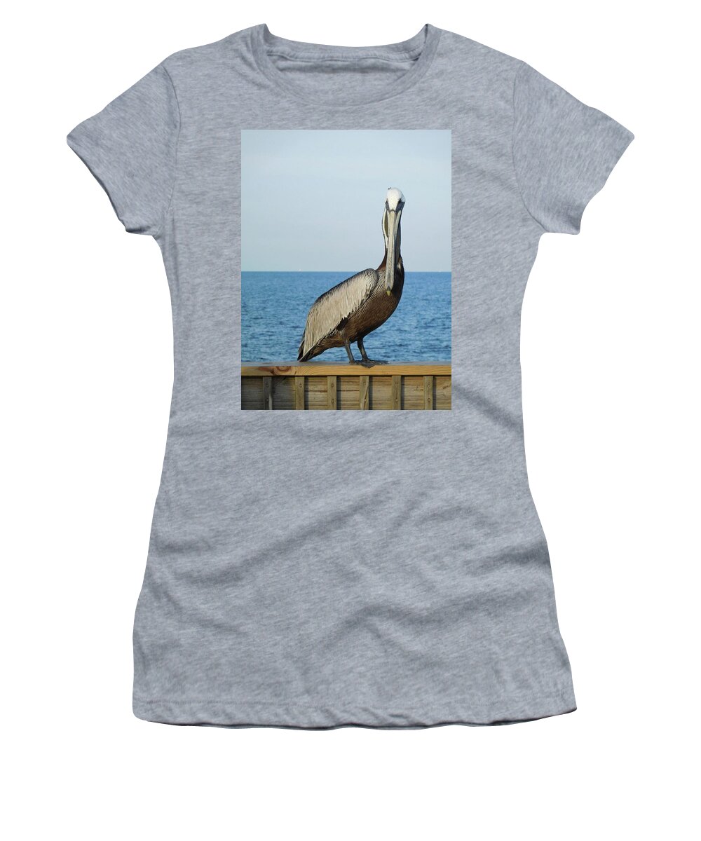 Birds Women's T-Shirt featuring the photograph Pelican Portrait I by Karen Stansberry