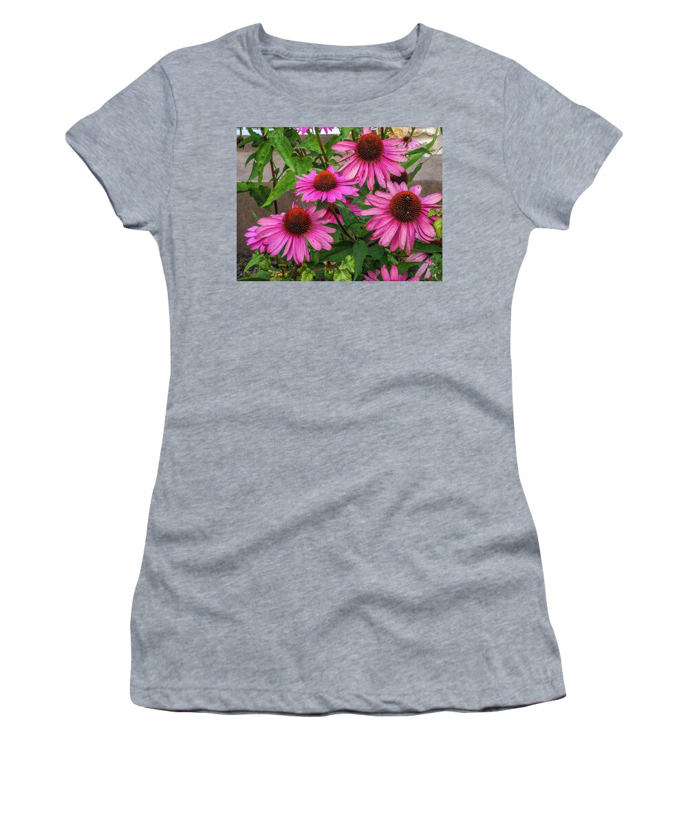 Pink Women's T-Shirt featuring the photograph Pink Cone Flowers by James C Richardson