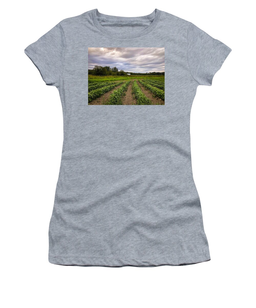 Plantation Women's T-Shirt featuring the photograph Plantation by Anamar Pictures