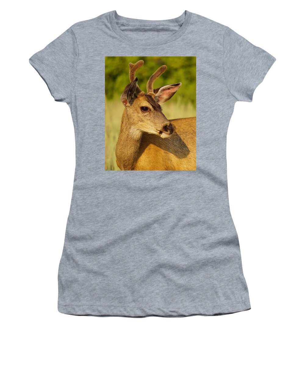 Wildlife Women's T-Shirt featuring the photograph Mule Deer Portrait by Brett Harvey