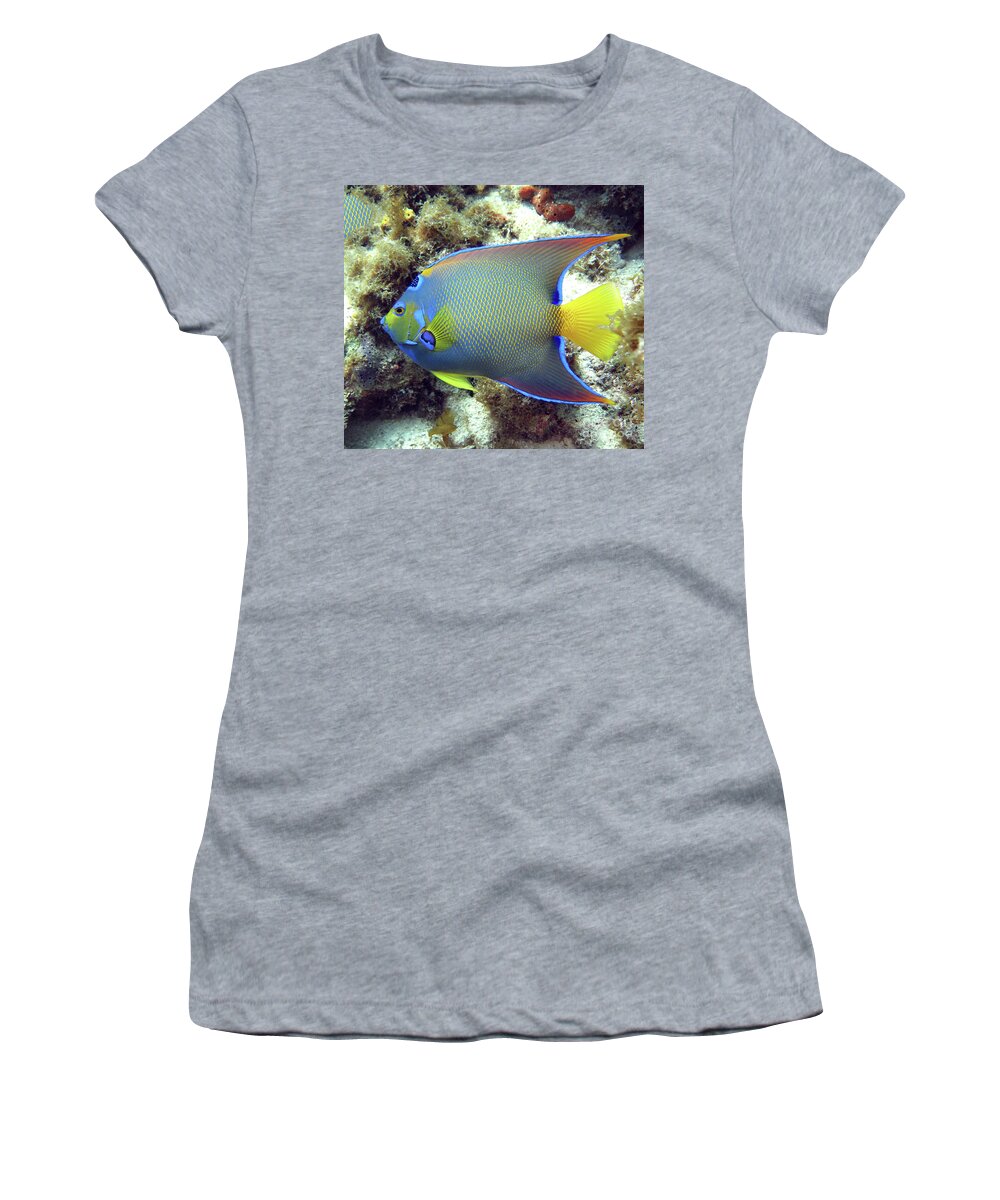 Underwater Women's T-Shirt featuring the photograph Queen Angelfish 43 by Daryl Duda