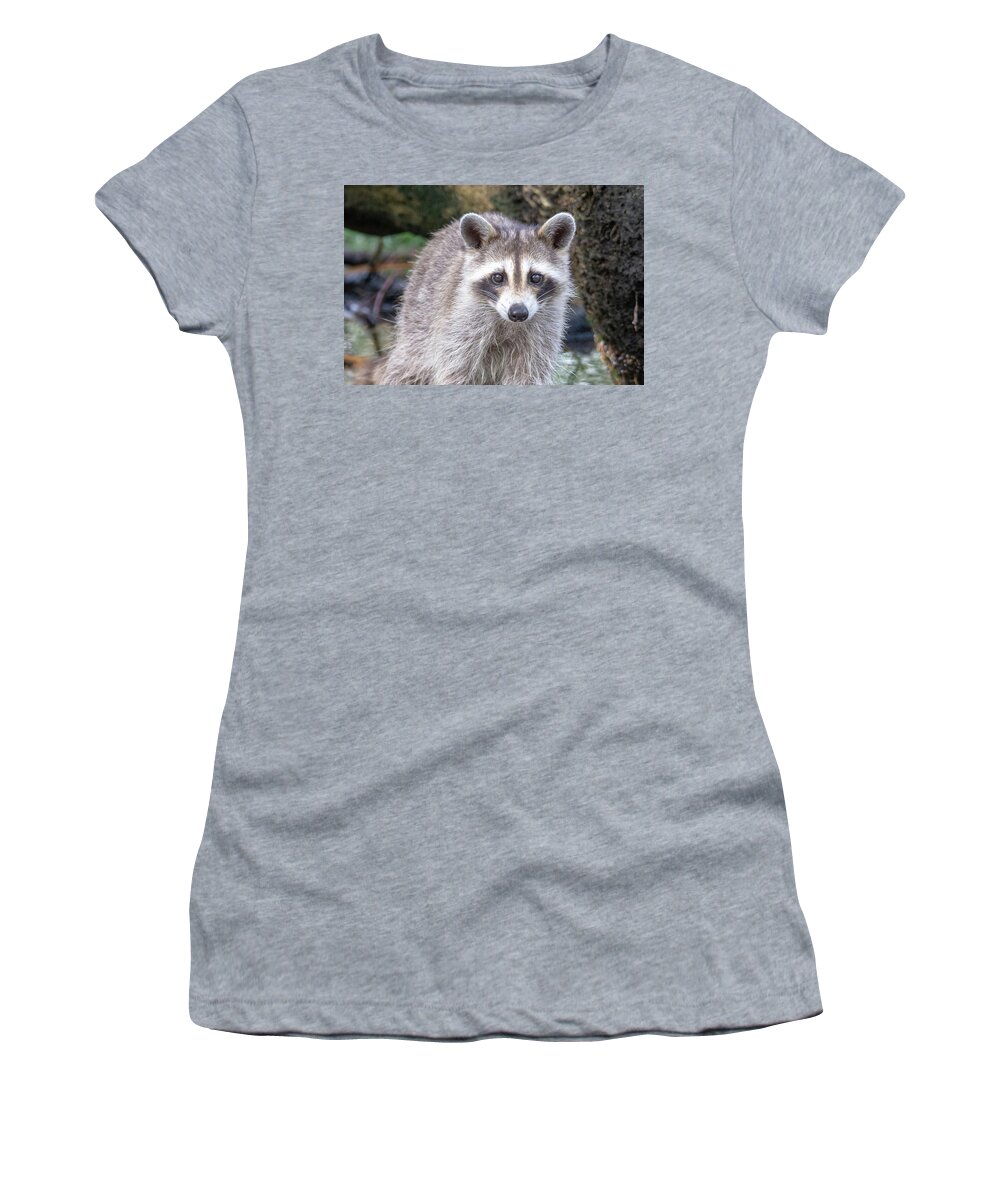 Water Women's T-Shirt featuring the photograph Racoon Wading In Puddle Looking For Food by Alex Grichenko