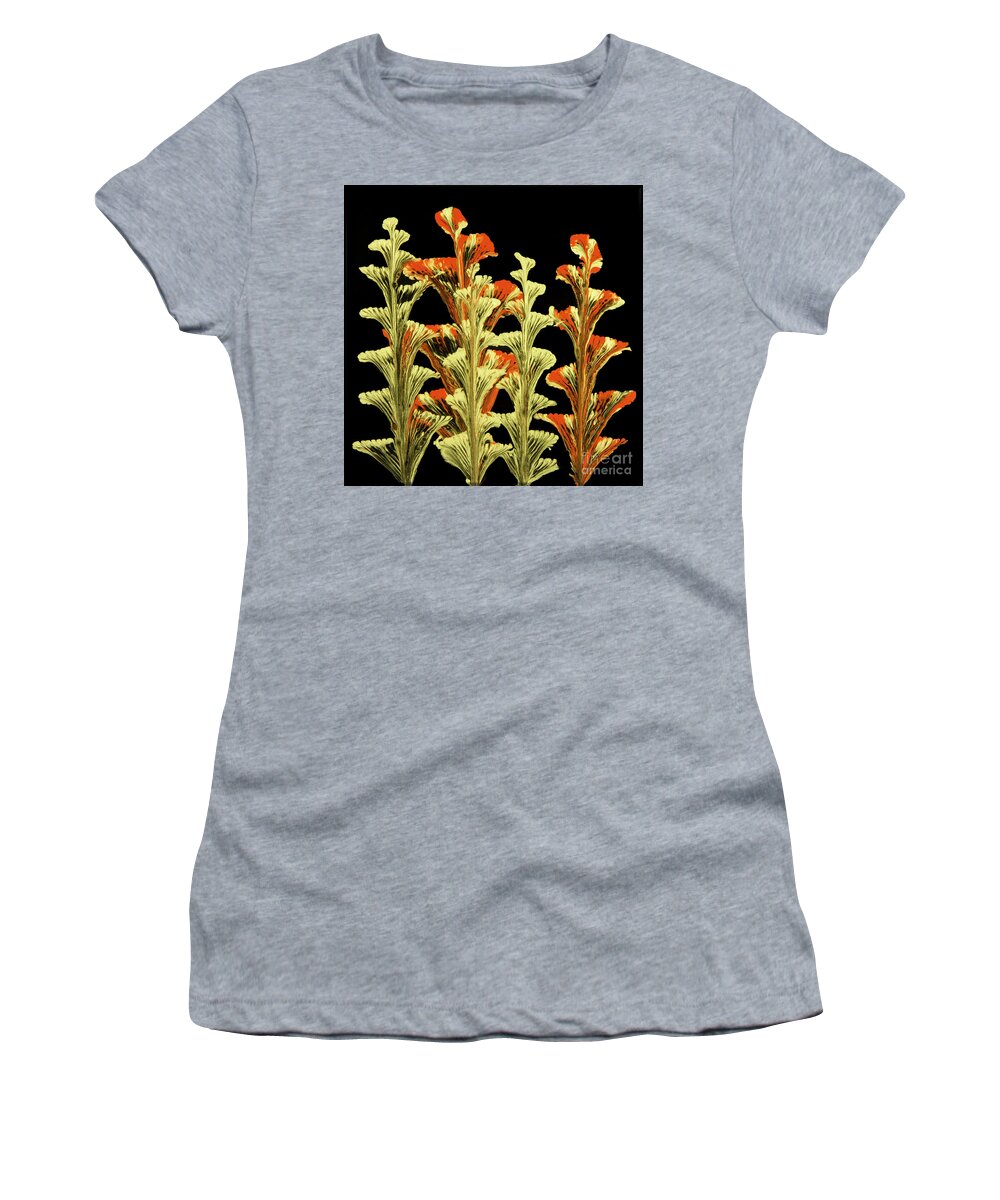 Poured Acrylics Women's T-Shirt featuring the painting Red and Gold Floral by Lucy Arnold