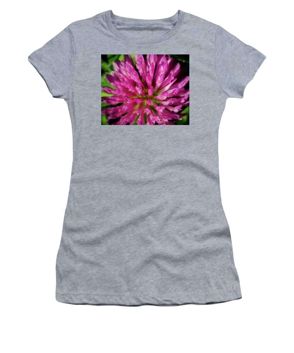 Flower Women's T-Shirt featuring the photograph Red Clover Flower by Jeff Phillippi
