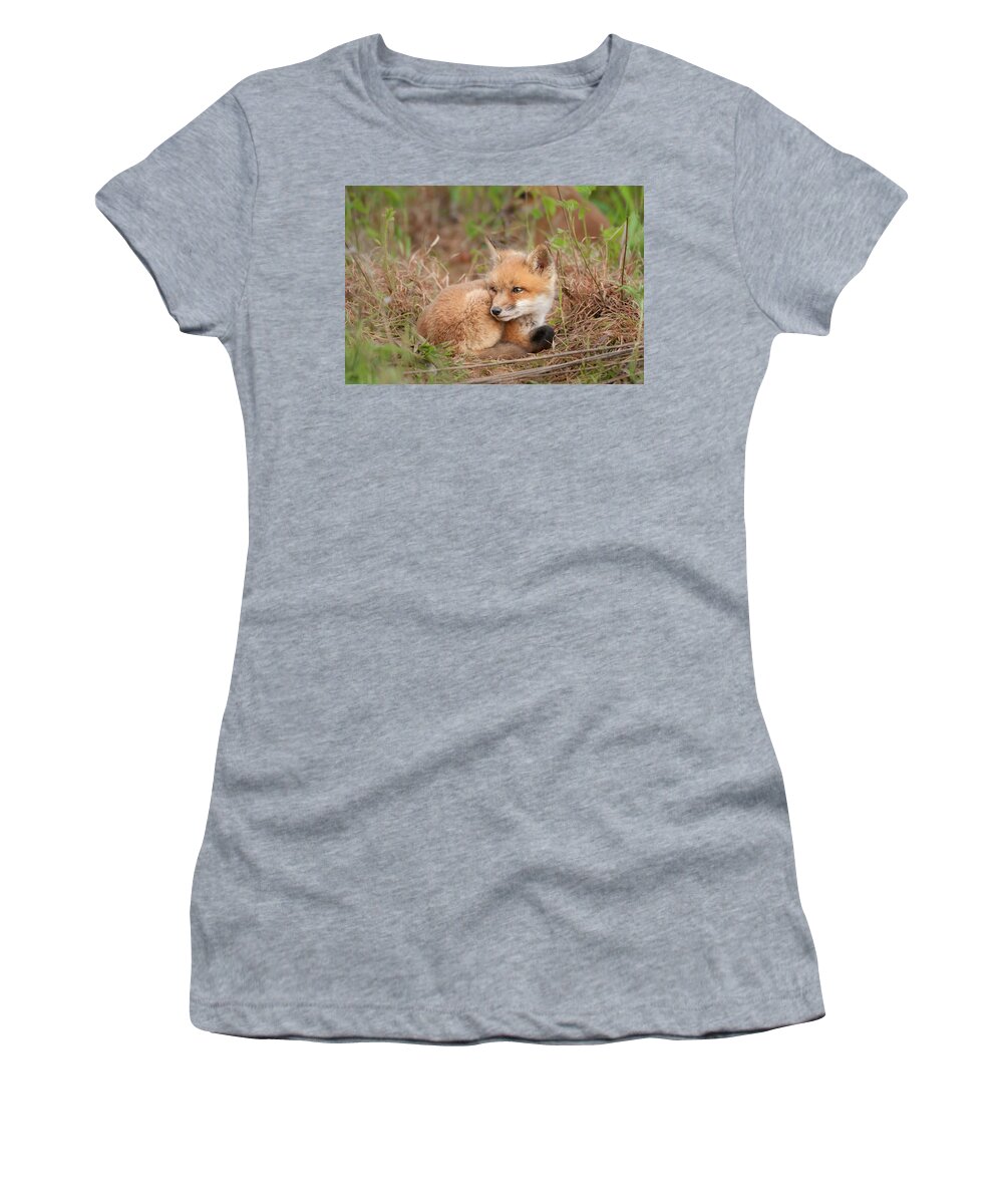 Red Fox Kit Watchful Women's T-Shirt featuring the photograph Red Fox Kit - Watchful #2 by Todd Henson