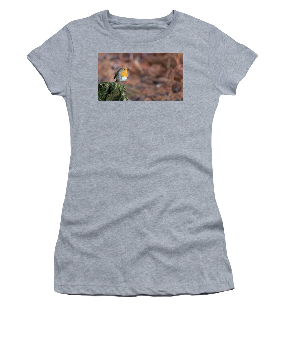 Robin Women's T-Shirt featuring the photograph Red Robin in the woods at Autumn by Anita Nicholson