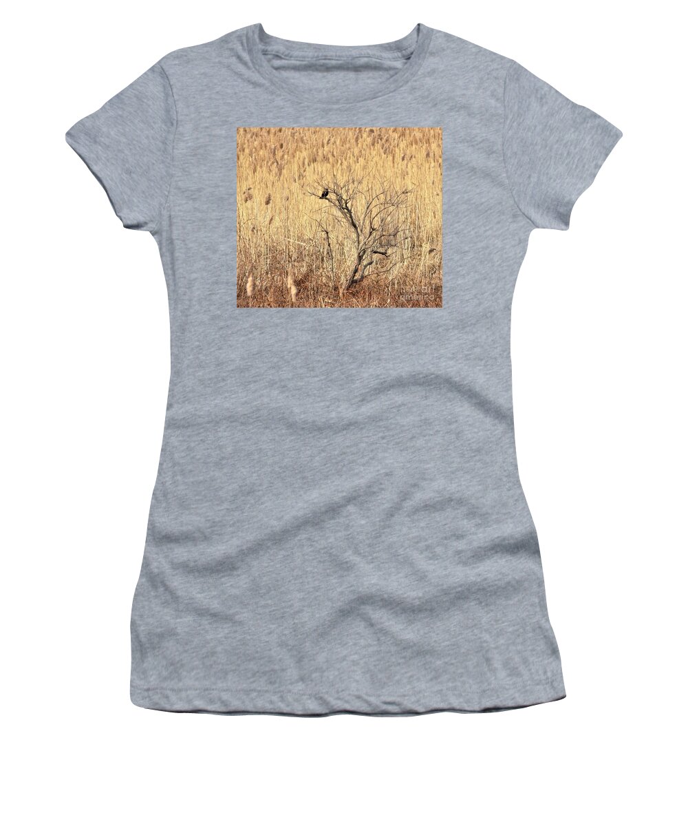 Kingsbury Fish & Wildlife Area Women's T-Shirt featuring the photograph Red Winged Blackbird In Bare Spring Tree      March    Indiana by Rory Cubel