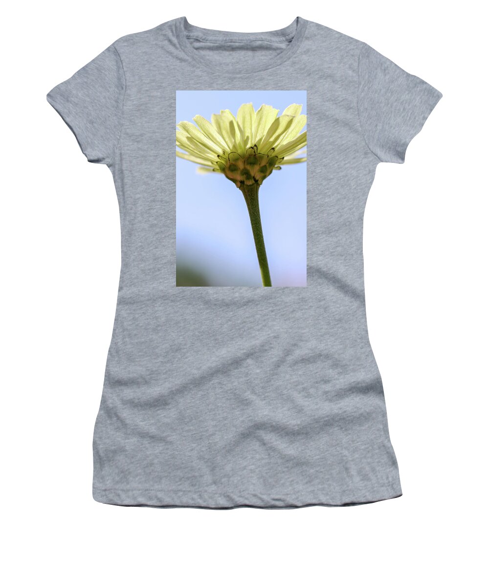 Flower Women's T-Shirt featuring the photograph Rise Up by Mary Anne Delgado