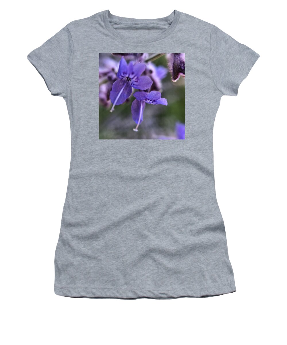Summer Women's T-Shirt featuring the photograph Russian Sage Blossoms Closeup by Jori Reijonen
