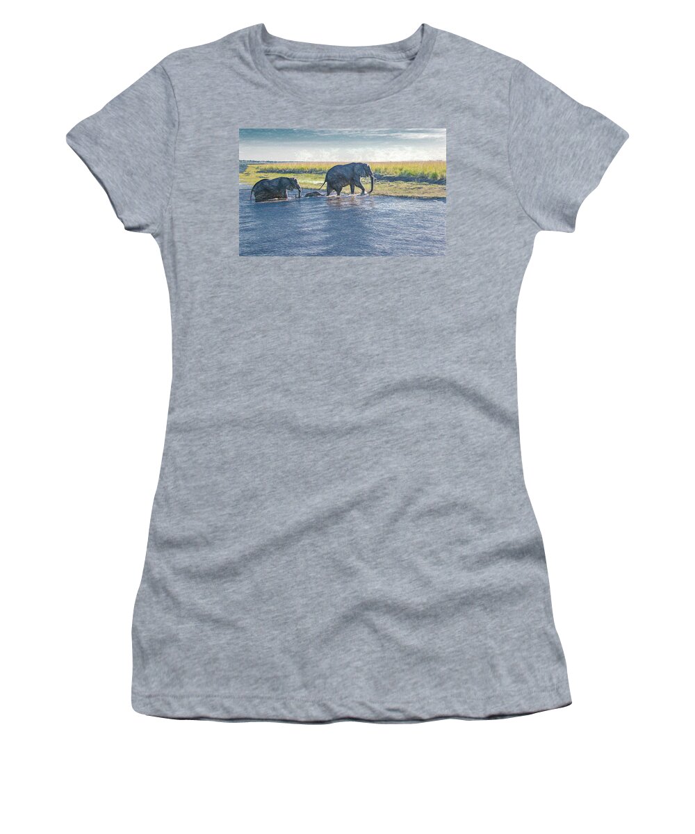 Elephants Women's T-Shirt featuring the photograph Safe Crossing by Marcy Wielfaert