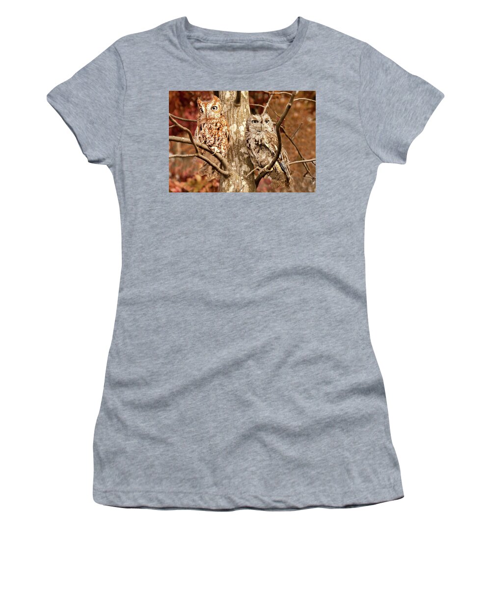 Bird Women's T-Shirt featuring the photograph Screech Owls by Minnie Gallman