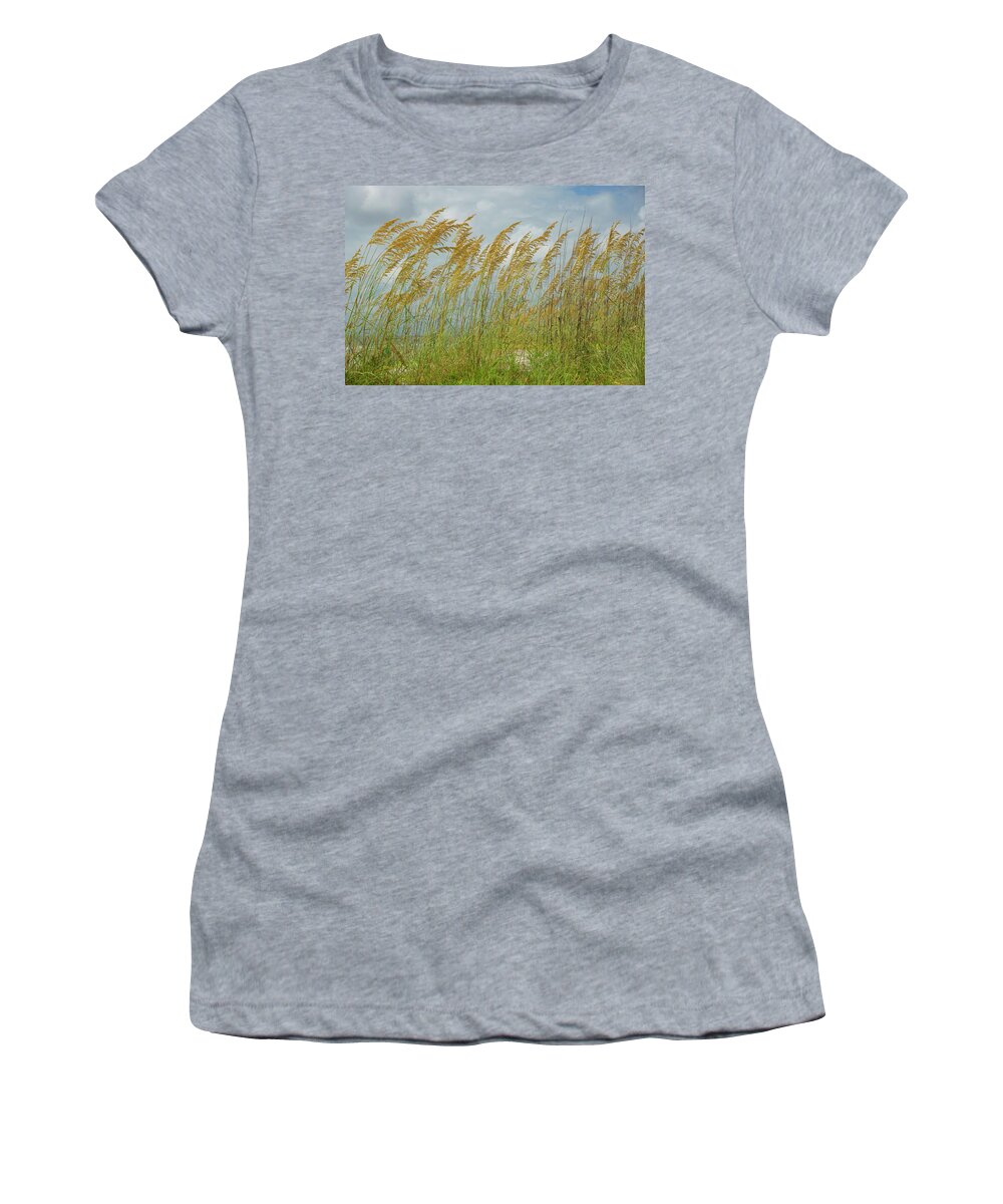Sea Oats Women's T-Shirt featuring the photograph Sea Oats On A Beach by Dennis Schmidt