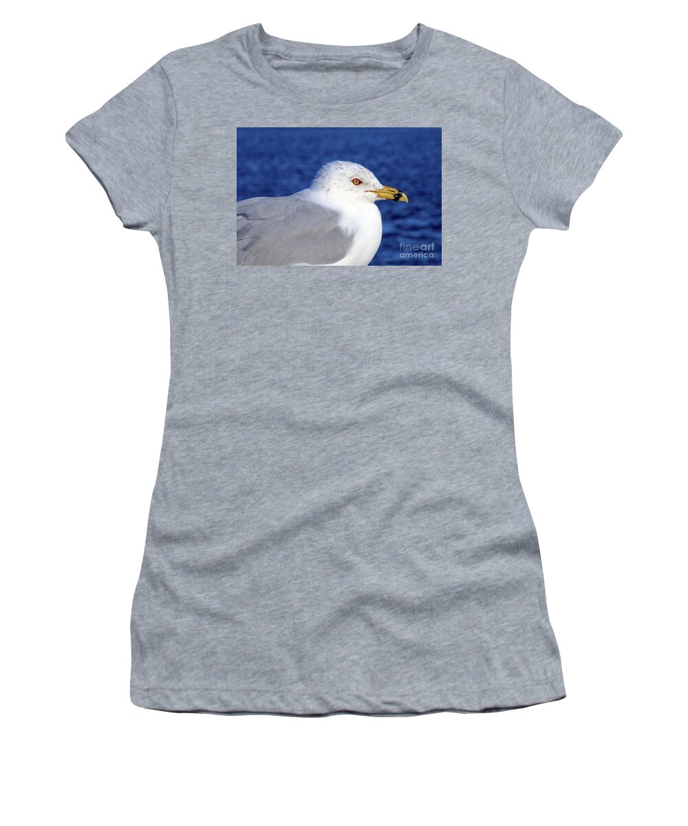 Seagull Women's T-Shirt featuring the photograph Seagull in Paradise by Terri Brewster